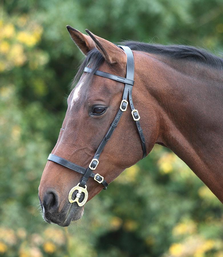 Shires Bridon de Presentation Simple - SHOP HORSE